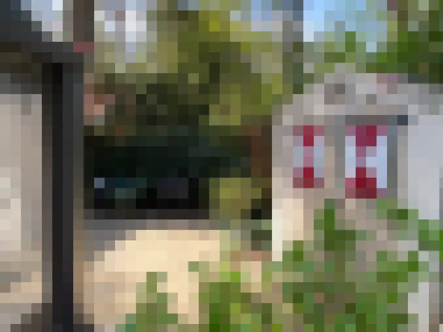 De Jutberg 78 30 Laag-Soeren thumbnail 16