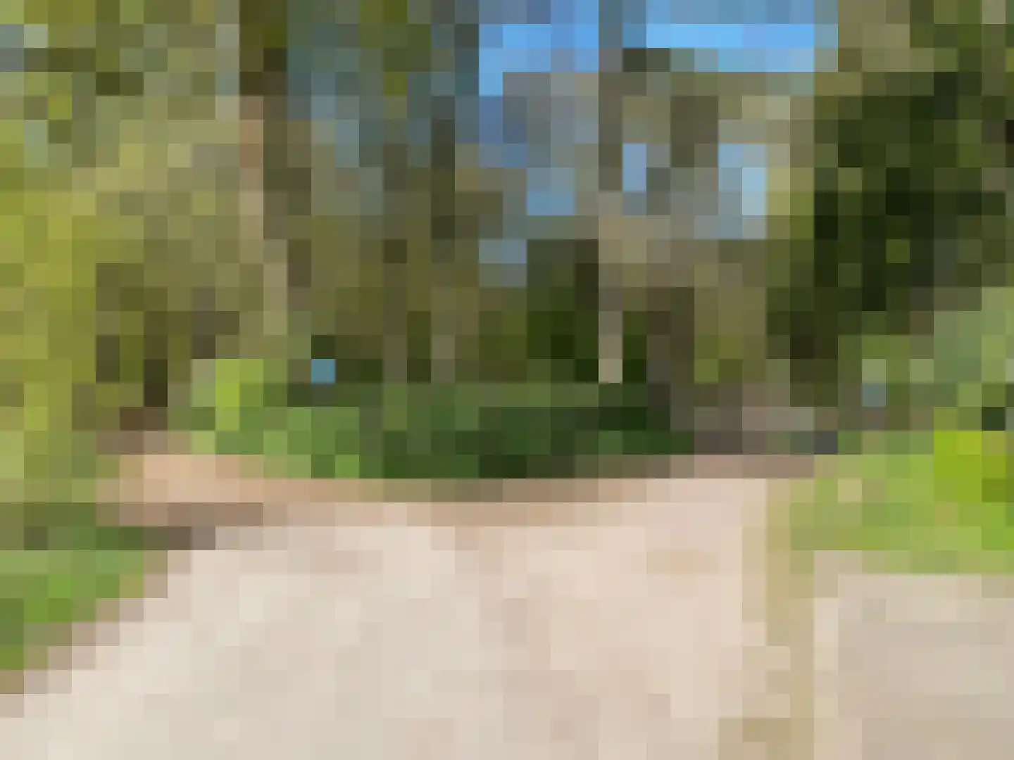 De Jutberg 78 30 Laag-Soeren thumbnail 25