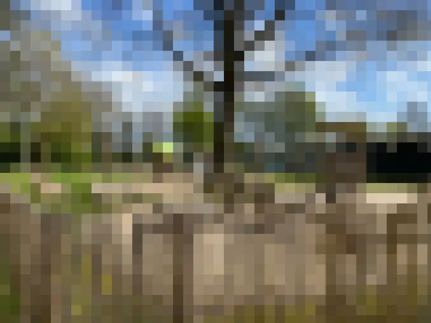 De Jutberg 78 30 Laag-Soeren thumbnail 30
