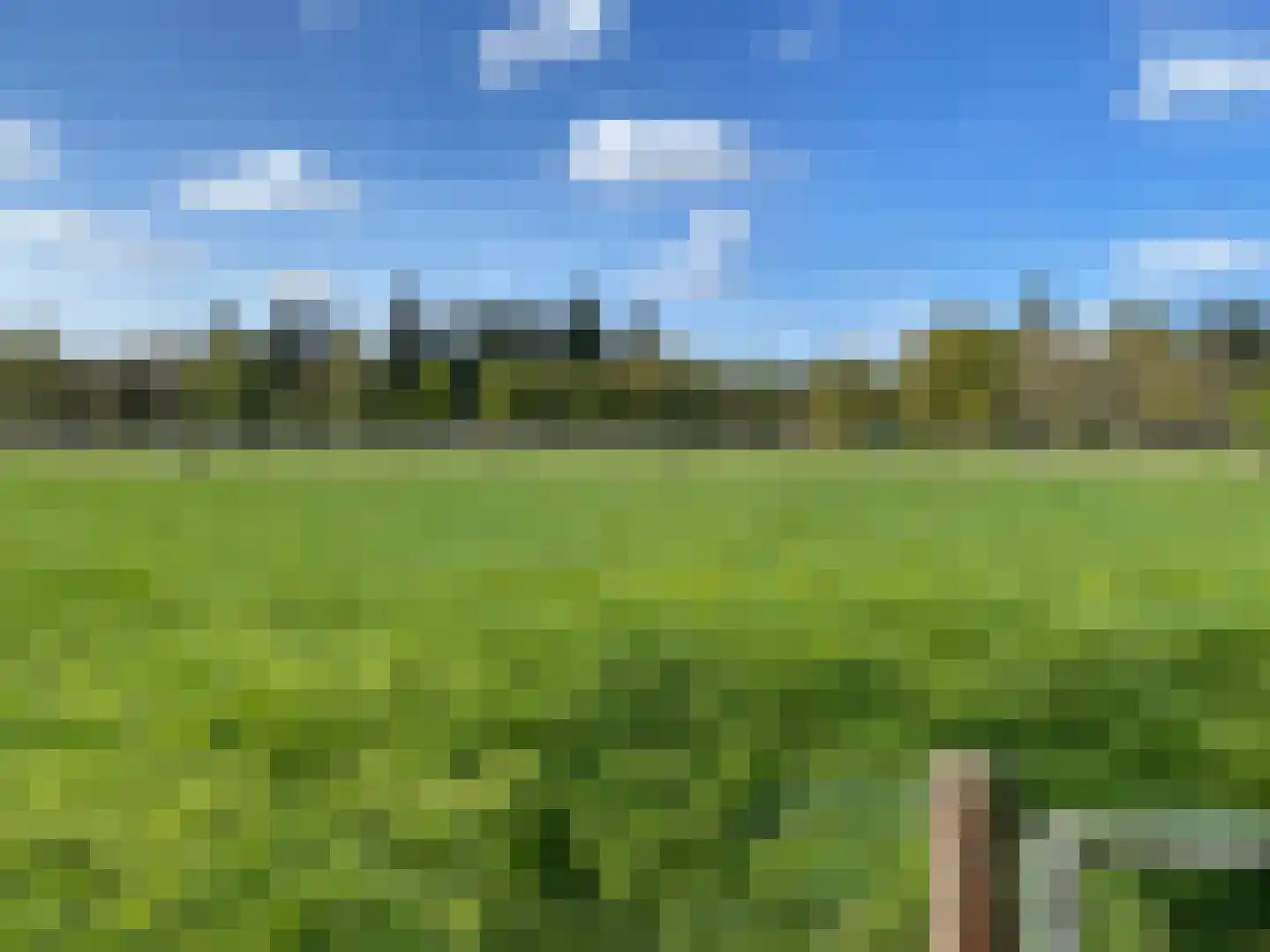 De Jutberg 78 30 Laag-Soeren thumbnail 40