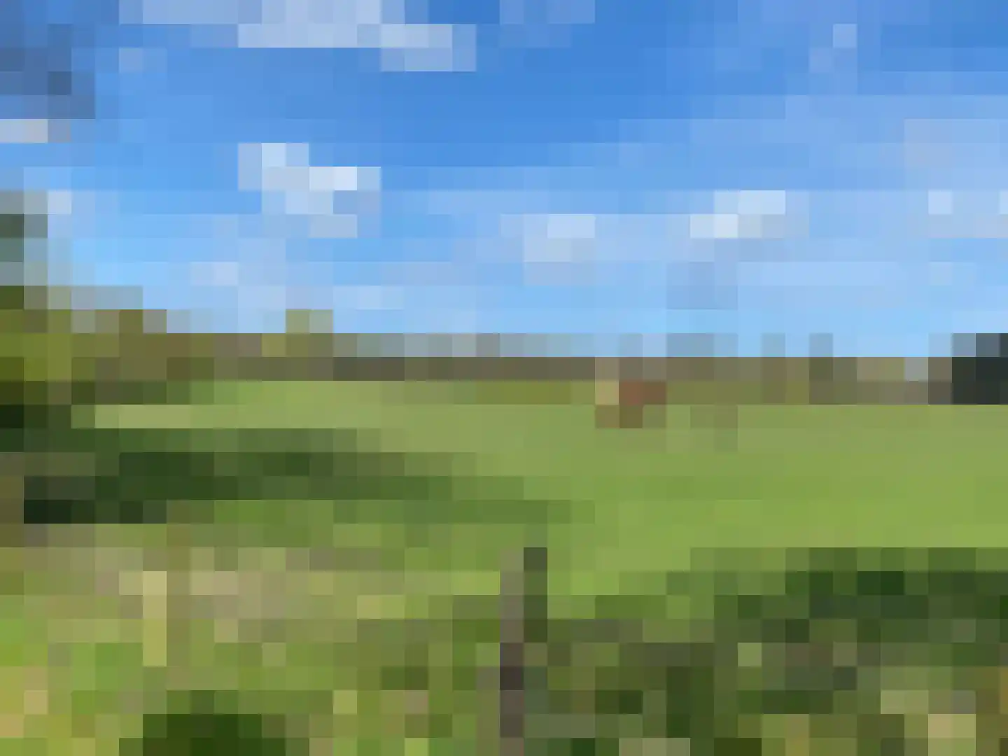 De Jutberg 78 30 Laag-Soeren thumbnail 41