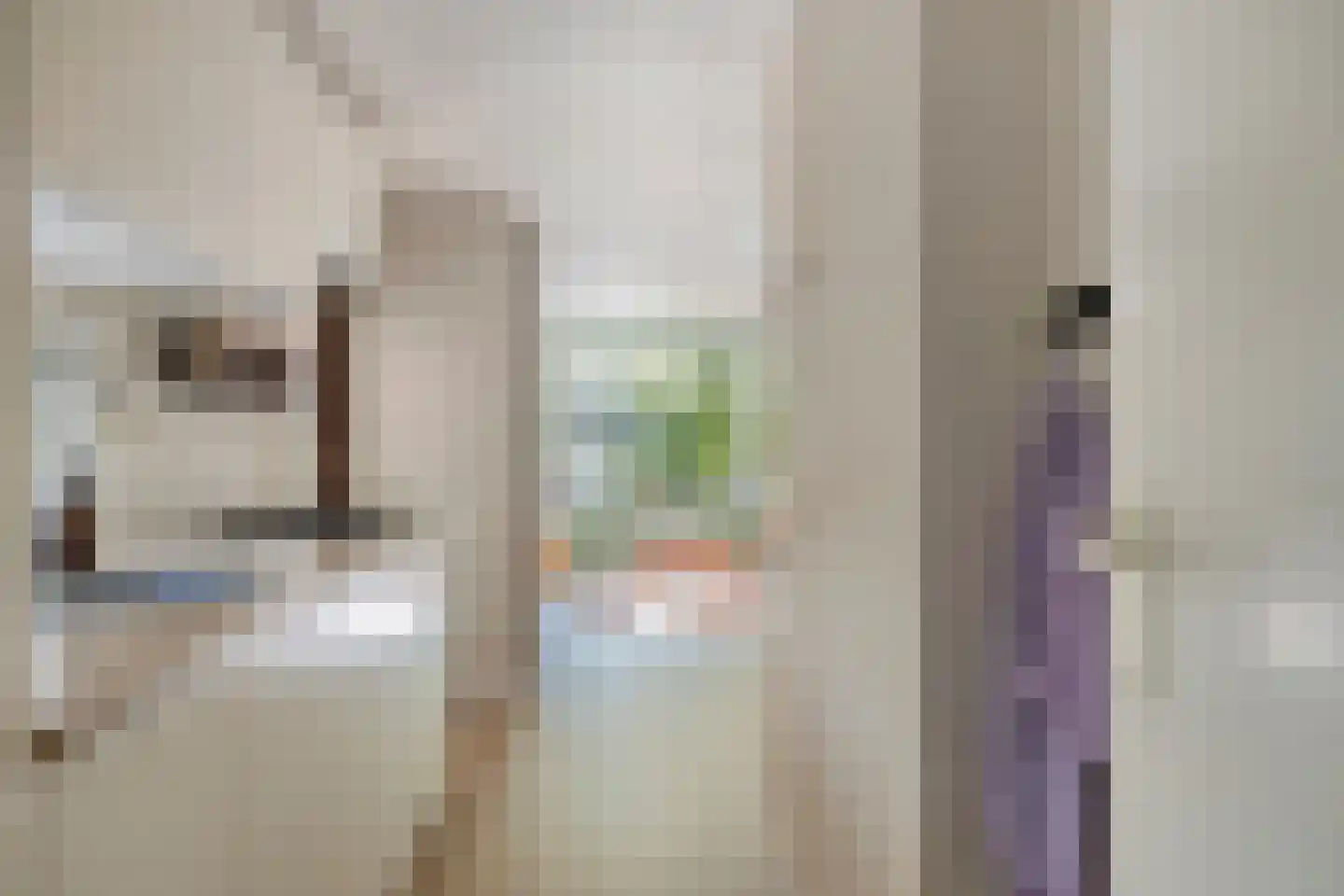 De Jutberg 78 82 Laag-Soeren thumbnail 11