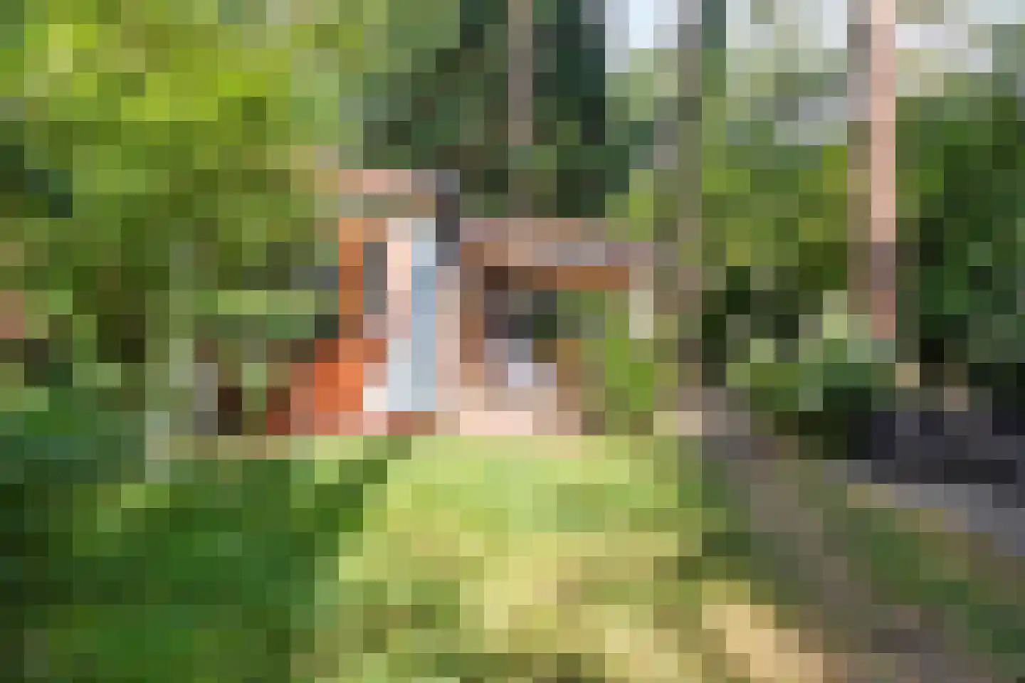De Jutberg 78 82 Laag-Soeren thumbnail 16