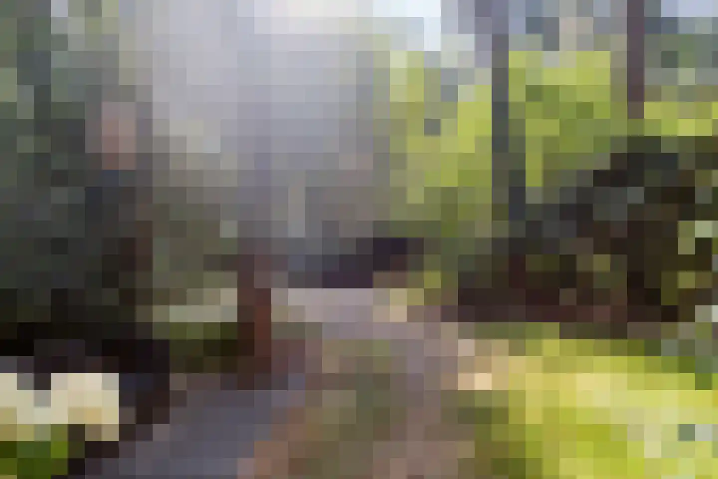 De Jutberg 78 82 Laag-Soeren thumbnail 17