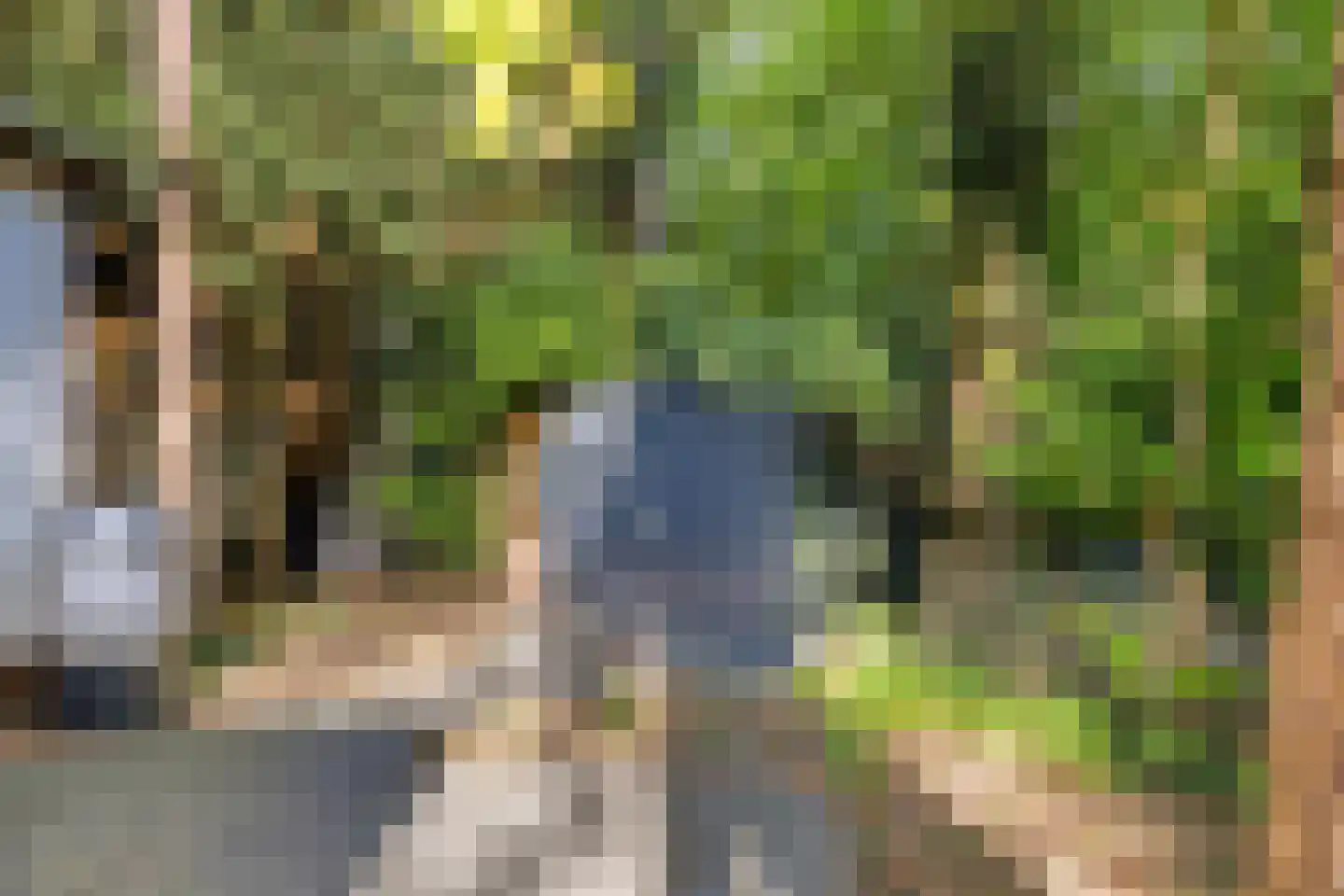 De Jutberg 78 82 Laag-Soeren thumbnail 19