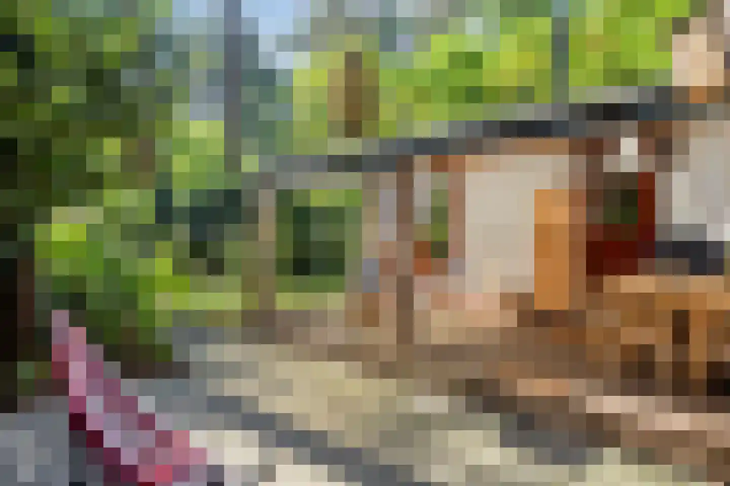 De Jutberg 78 82 Laag-Soeren thumbnail 24