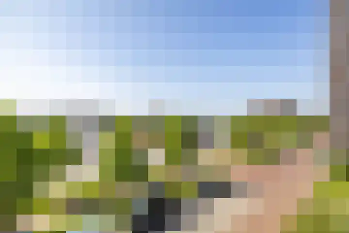 De Kaai 102 Groningen thumbnail 12