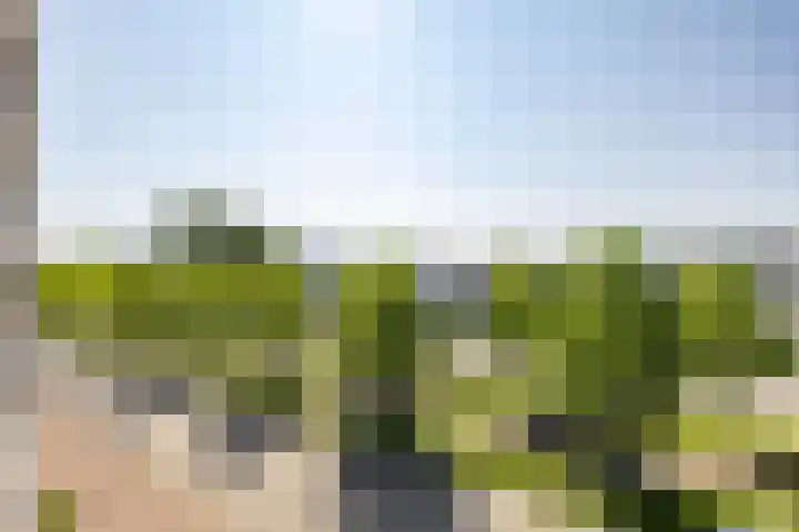 De Kaai 102 Groningen thumbnail 13