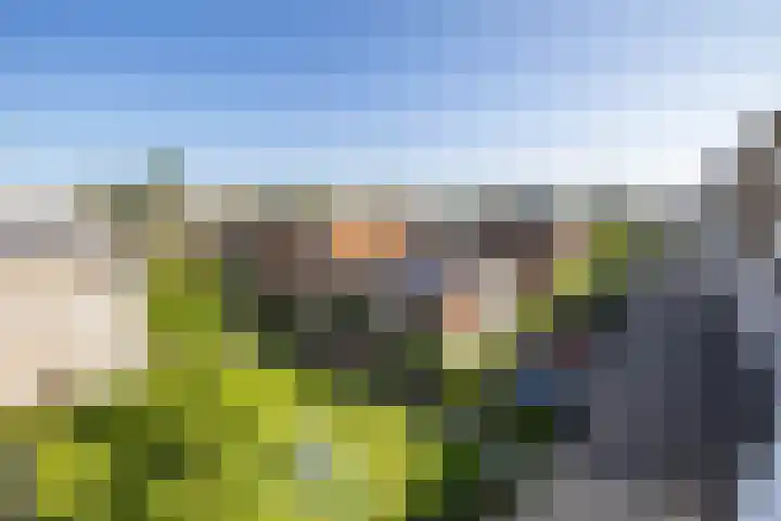 De Kaai 102 Groningen thumbnail 33