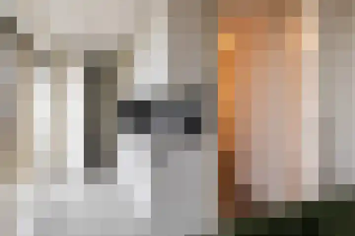 De Kaai 105 Groningen thumbnail 15