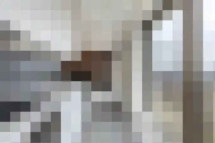 De Kaai 105 Groningen thumbnail 17
