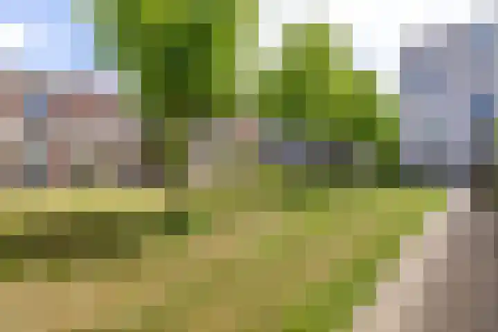 De Kaai 135 Groningen thumbnail 32
