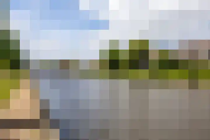De Kaai 135 Groningen thumbnail 33