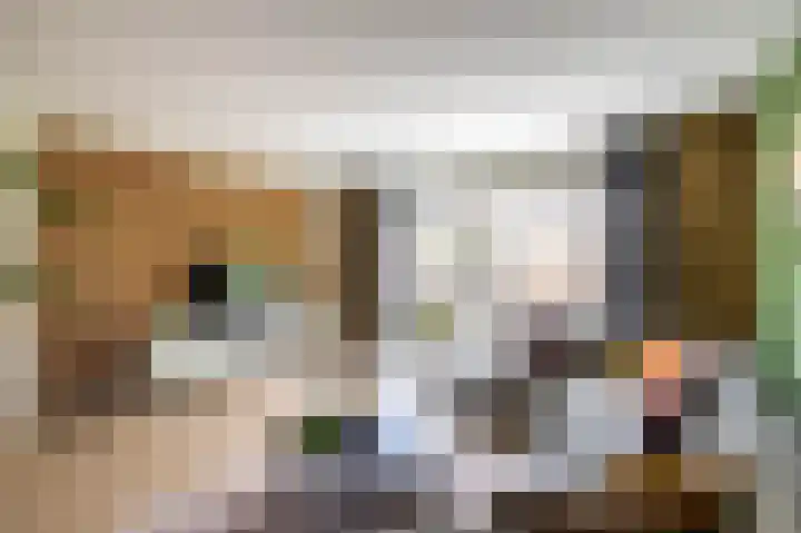 De Kaai 135 Groningen thumbnail 8