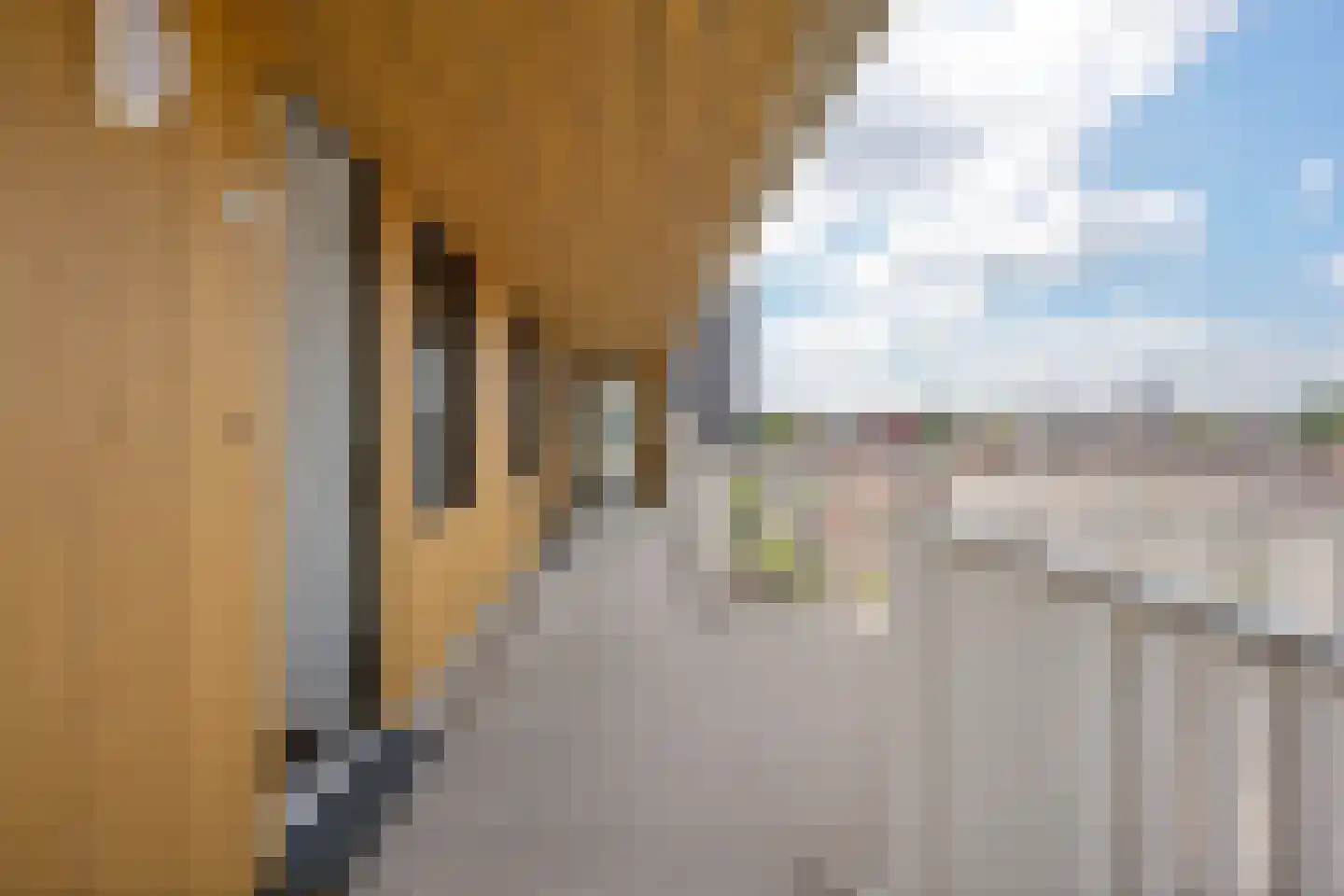 De Kaai 34 Groningen thumbnail 13