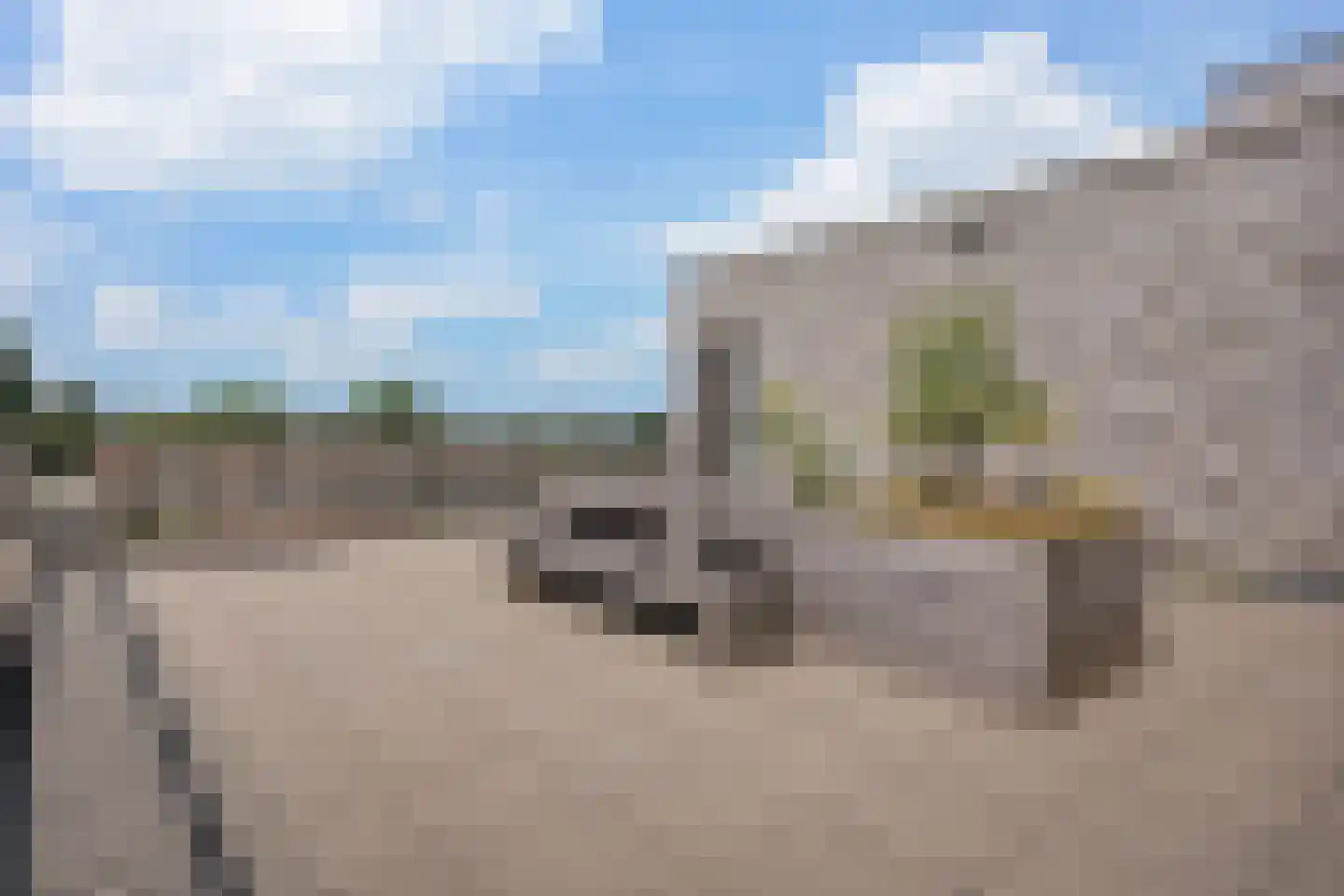 De Kaai 34 Groningen thumbnail 17