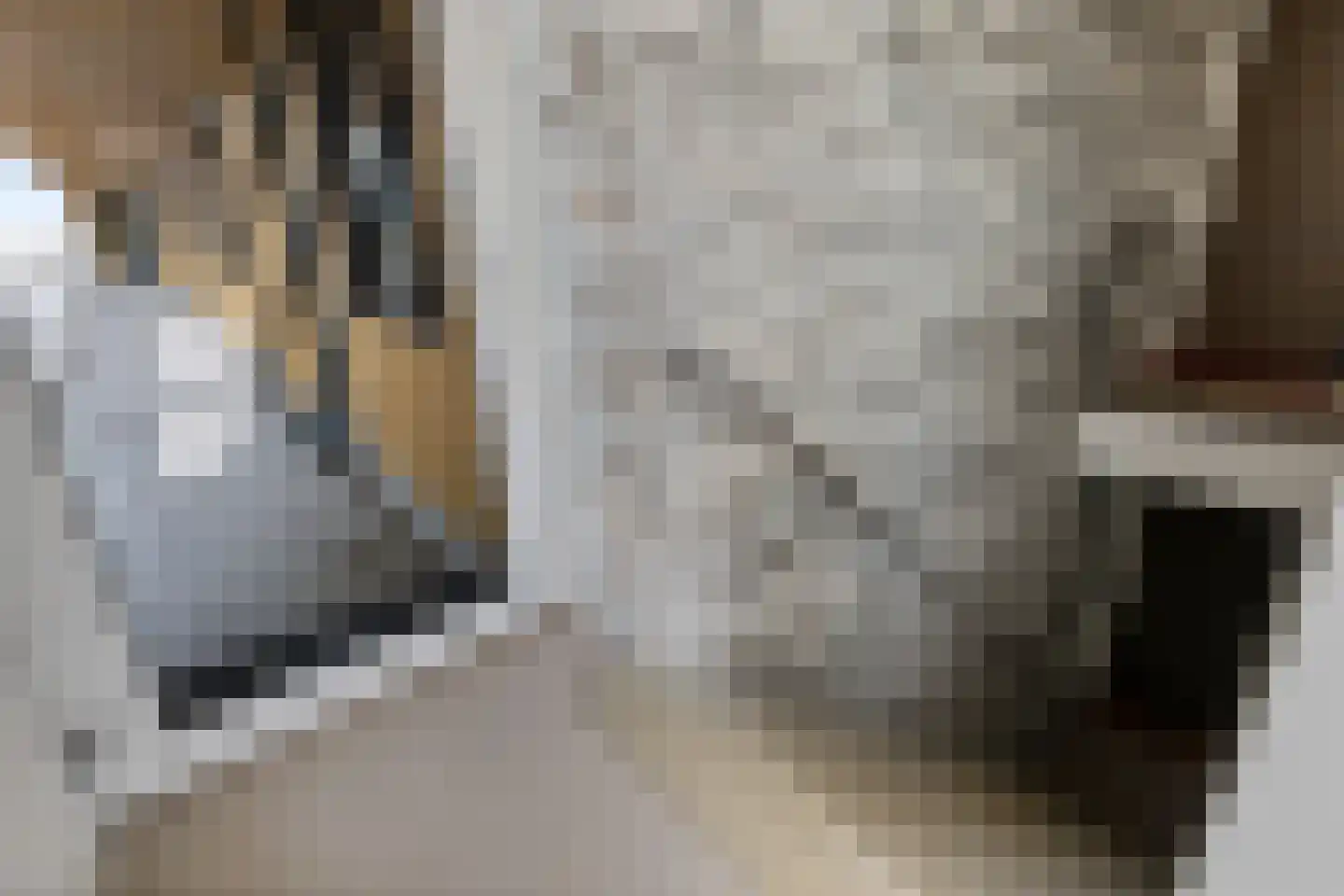 De Kaai 34 Groningen thumbnail 18
