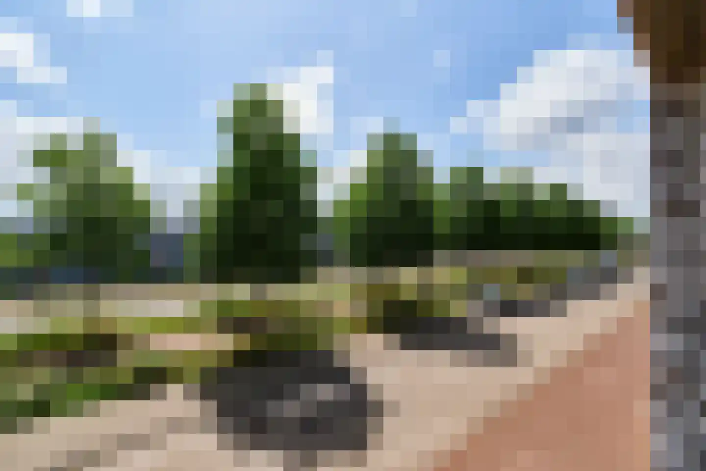 De Kaai 47 Groningen thumbnail 12