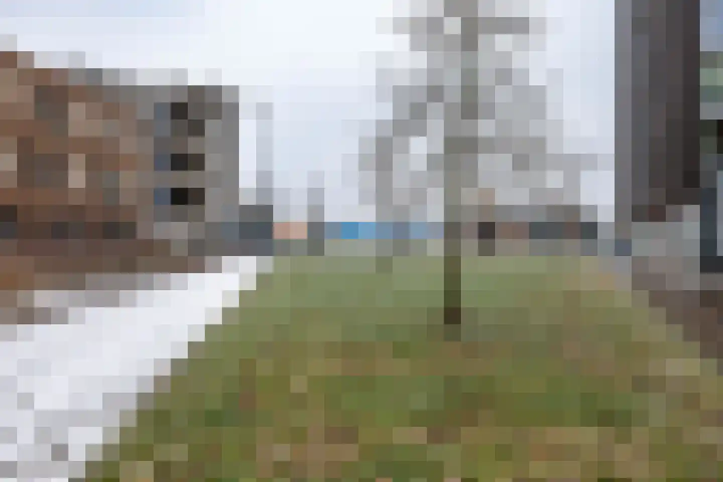 De Kaai 90 Groningen thumbnail 40