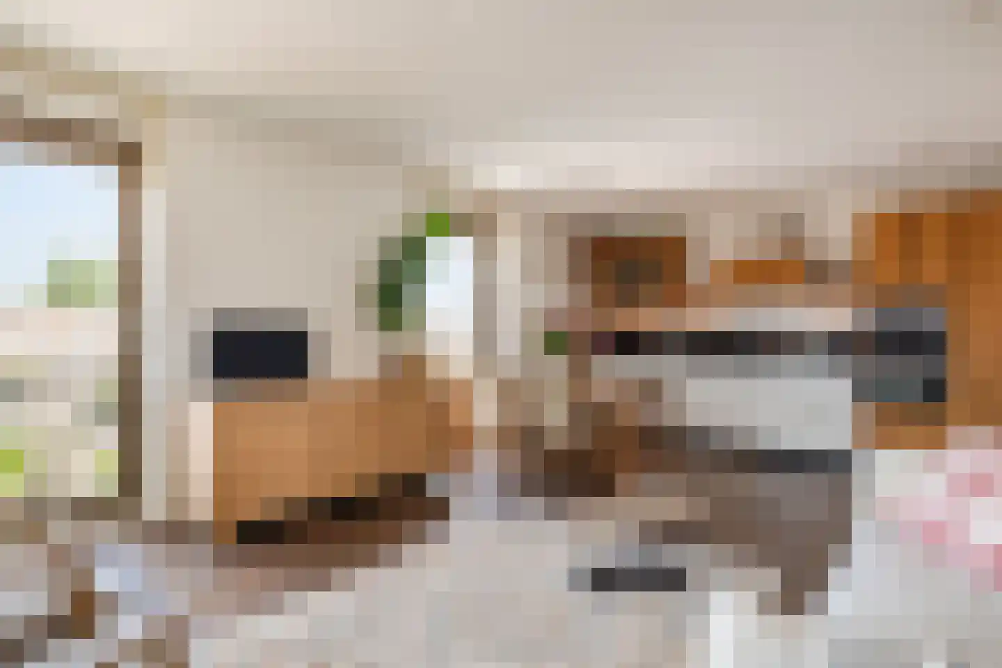 De Kaai 98 Groningen thumbnail 13