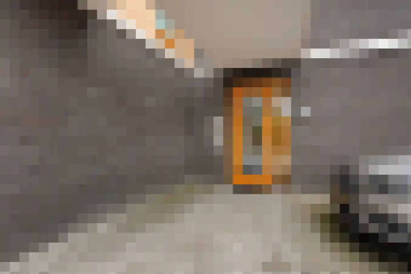 De Kaamp 7 b Ruinen thumbnail 13