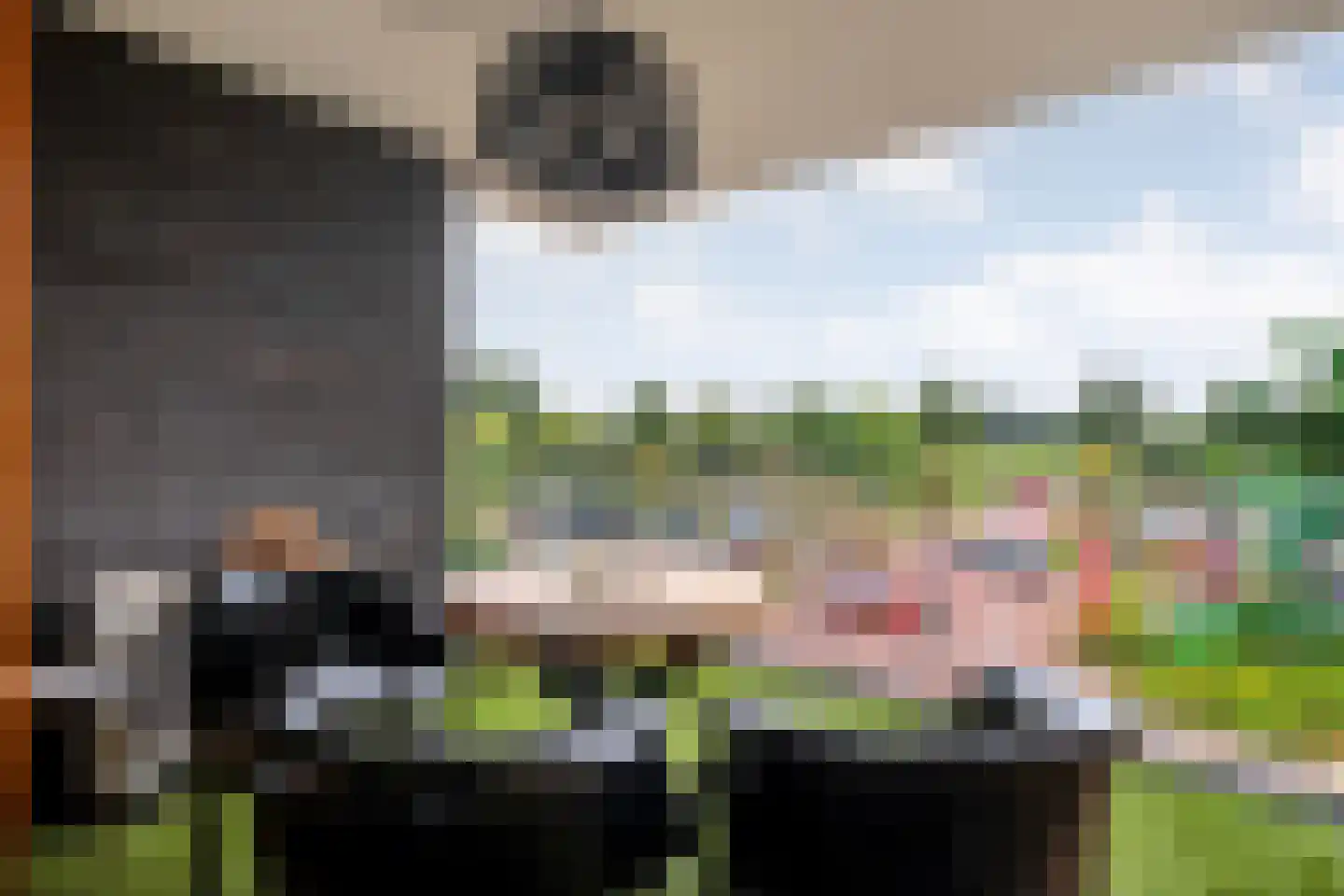 De Kaamp 7 b Ruinen thumbnail 30
