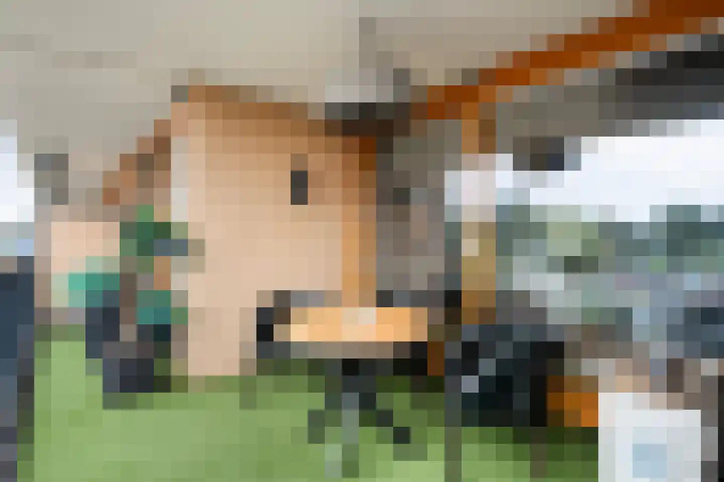 De Kaamp 7 b Ruinen thumbnail 31