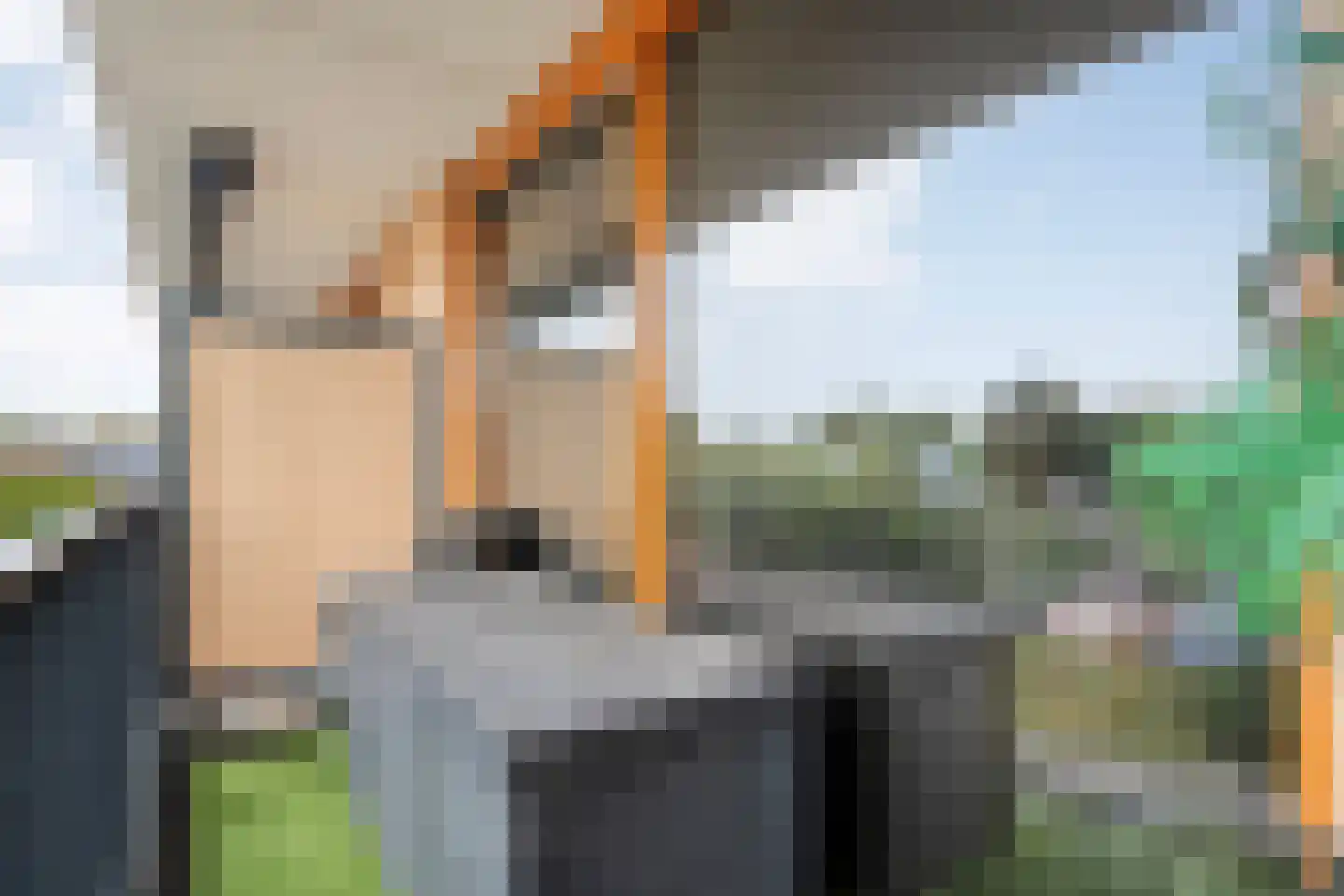 De Kaamp 7 b Ruinen thumbnail 33