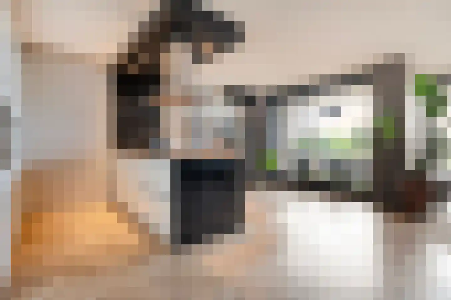 De Kaamp 7 b Ruinen thumbnail 37