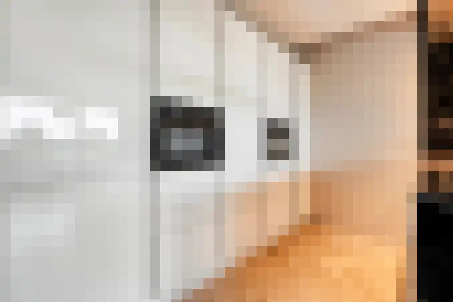 De Kaamp 7 b Ruinen thumbnail 38