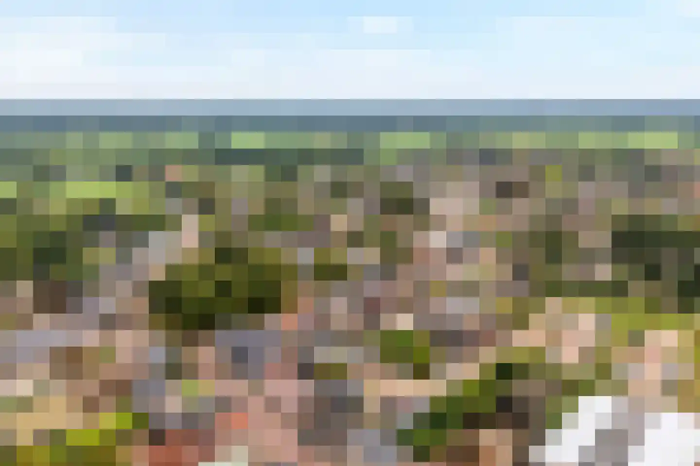De Kaamp 7 b Ruinen thumbnail 7