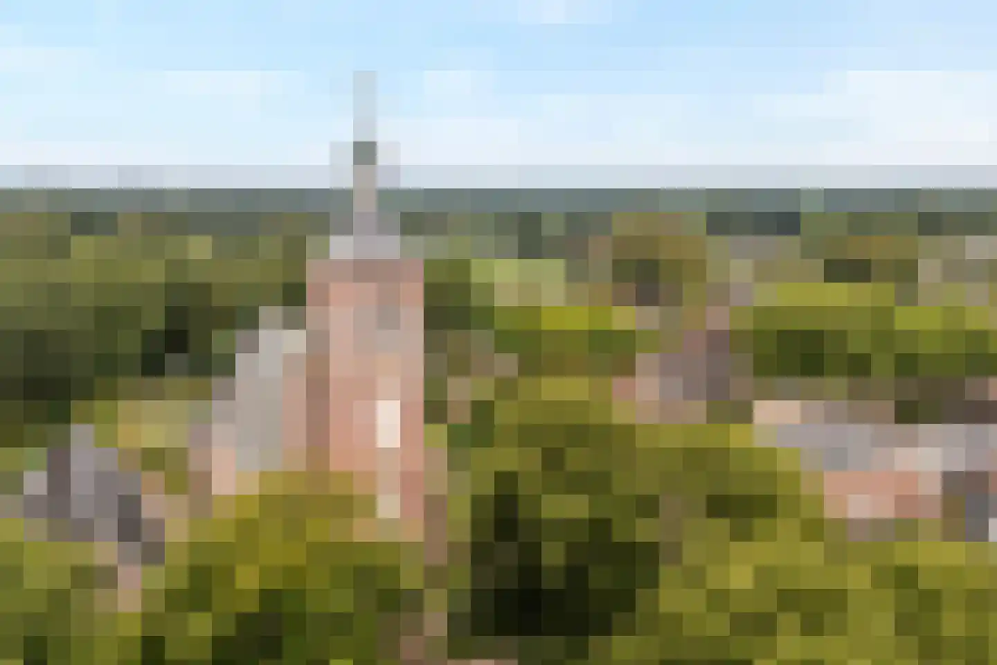 De Kaamp 7 b Ruinen thumbnail 8