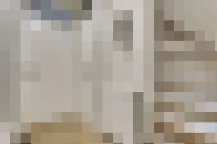 De Kaanjel 38 Herten thumbnail 10