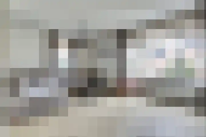 De Kaanjel 38 Herten thumbnail 11
