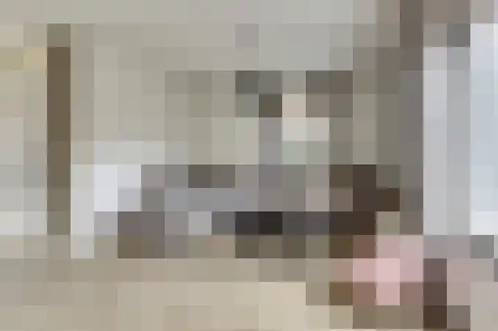 De Kaanjel 38 Herten thumbnail 12