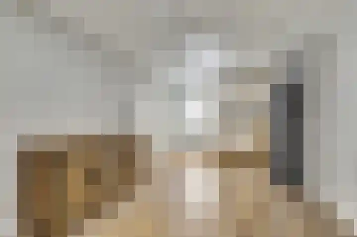 De Kaanjel 38 Herten thumbnail 20