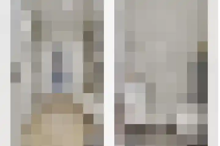 De Kaanjel 38 Herten thumbnail 22
