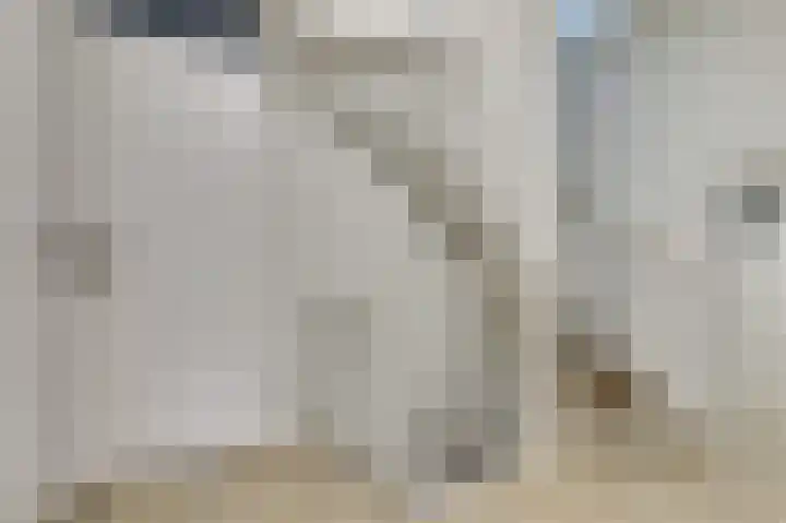 De Kaanjel 38 Herten thumbnail 23