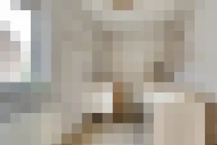 De Kaanjel 38 Herten thumbnail 25