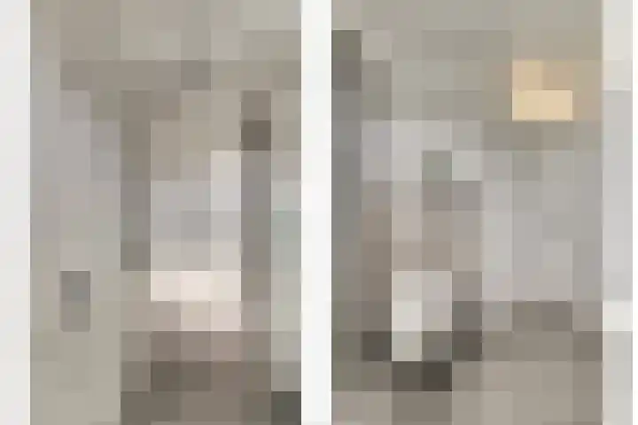 De Kaanjel 38 Herten thumbnail 28