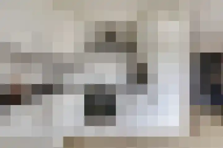 De Kaanjel 38 Herten foto 3