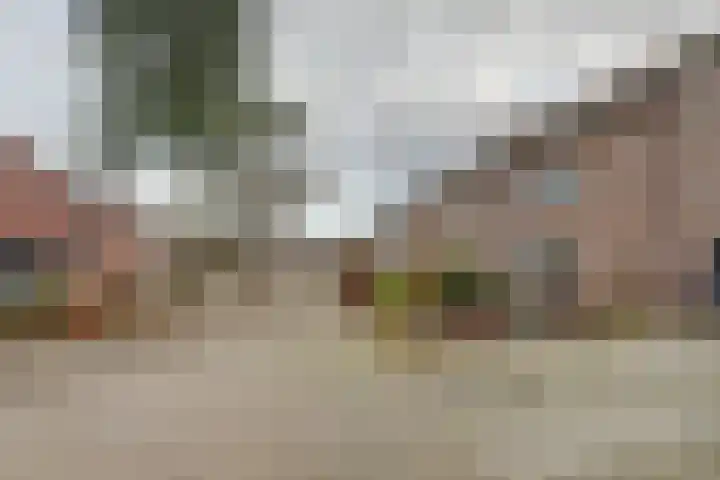 De Kaanjel 38 Herten thumbnail 38