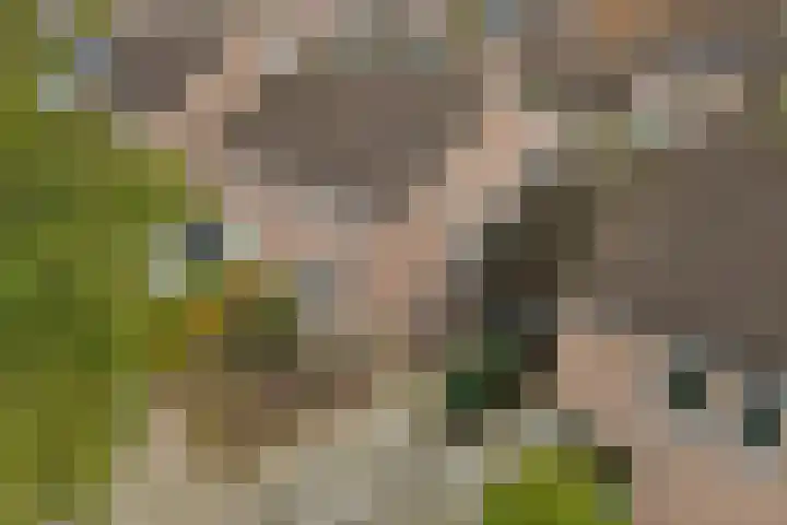 De Kaanjel 38 Herten thumbnail 40