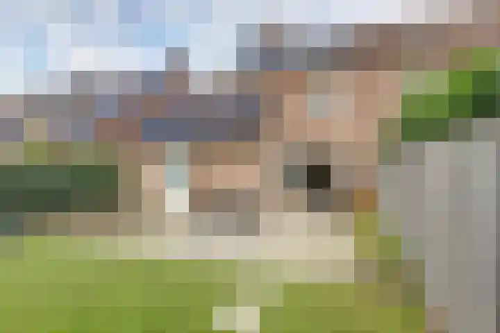 De Kaanjel 38 Herten thumbnail 6