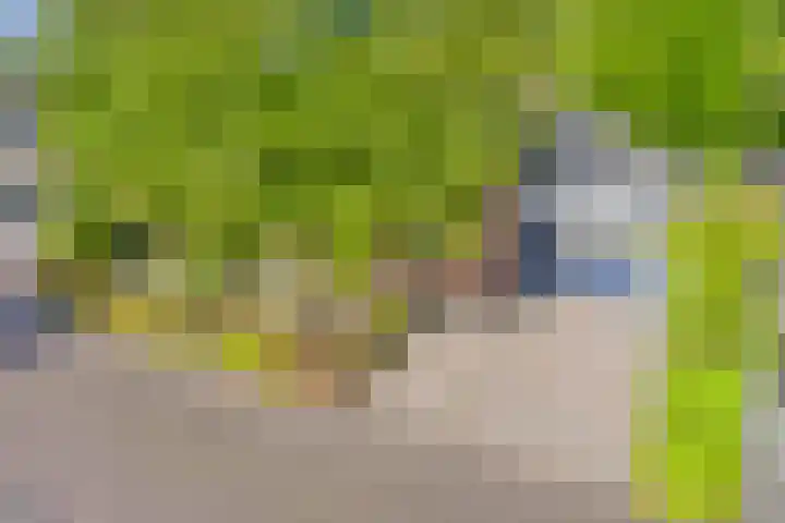 De Kaapstander 16 Dronten foto 3