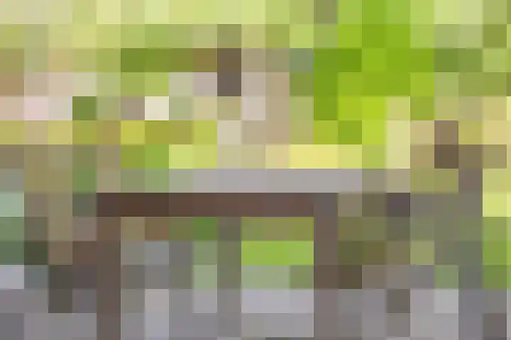 De Kaapstander 16 Dronten thumbnail 32
