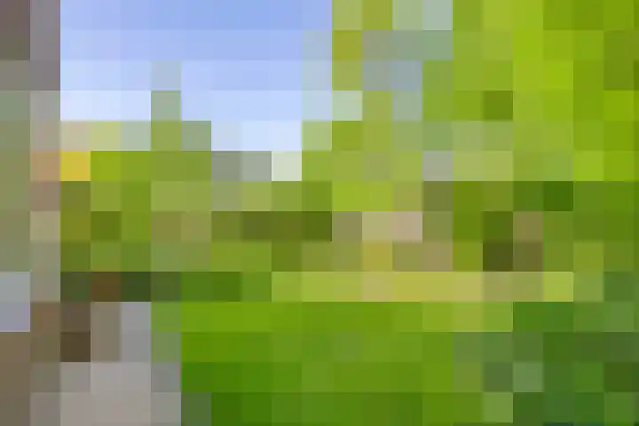 De Kaapstander 16 Dronten thumbnail 34