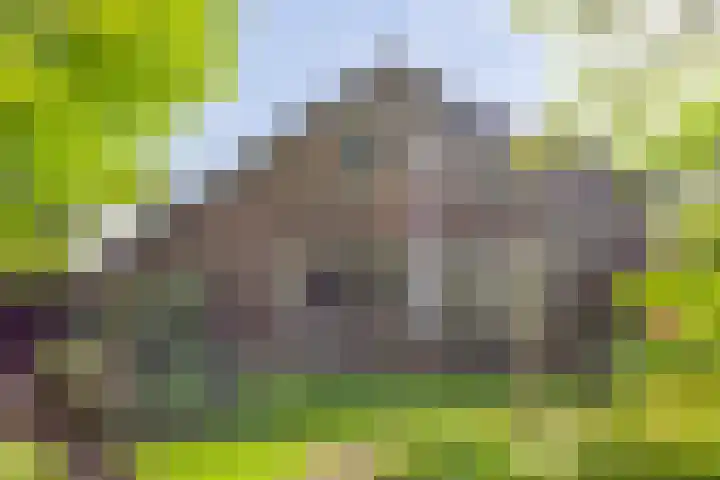 De Kaapstander 16 Dronten thumbnail 36