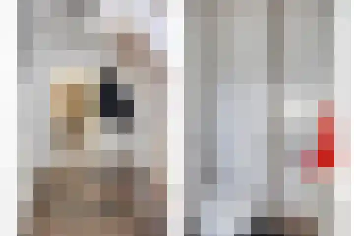 De Kaapstander 16 Dronten thumbnail 4