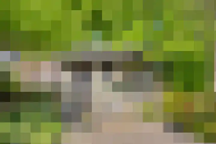 De Kaapstander 16 Dronten thumbnail 41